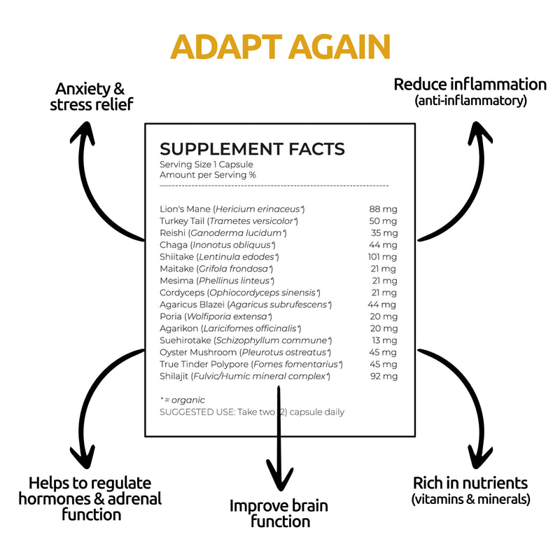 Adapt again - Simple Temple Supplements