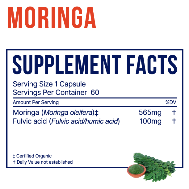 Moringa PLUS - Simple Temple Supplements